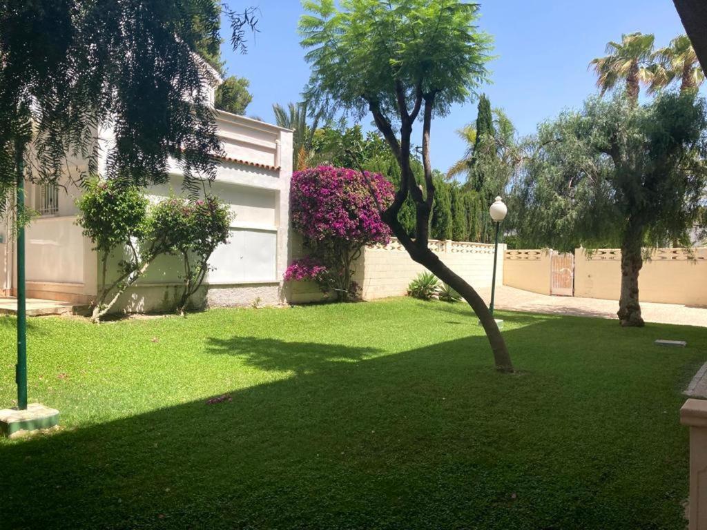 Apartamento Con Piscina Y Parking 坎佩略 外观 照片
